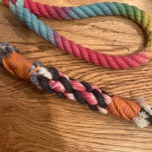 The most beautiful leash! 🌈